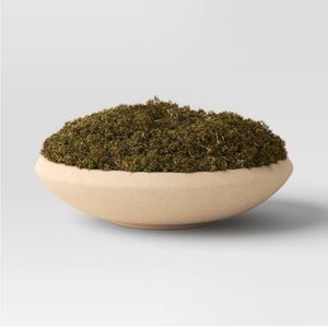 Threshold Faux Moss Bowl